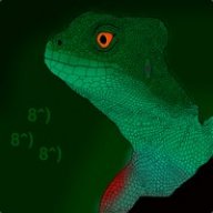 A_slow_Turtle