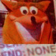 Crash Mandipoot