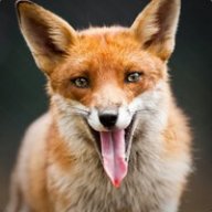 FoxPatriarcat