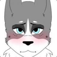 Jason The Husky