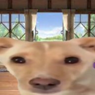nintendog