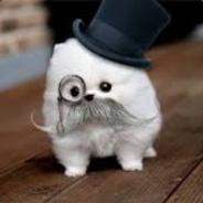 Dog™