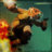 TigerN